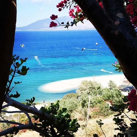 Marmari Megali Ammos Oasis Apartment & Studio Agia Marina  外观 照片